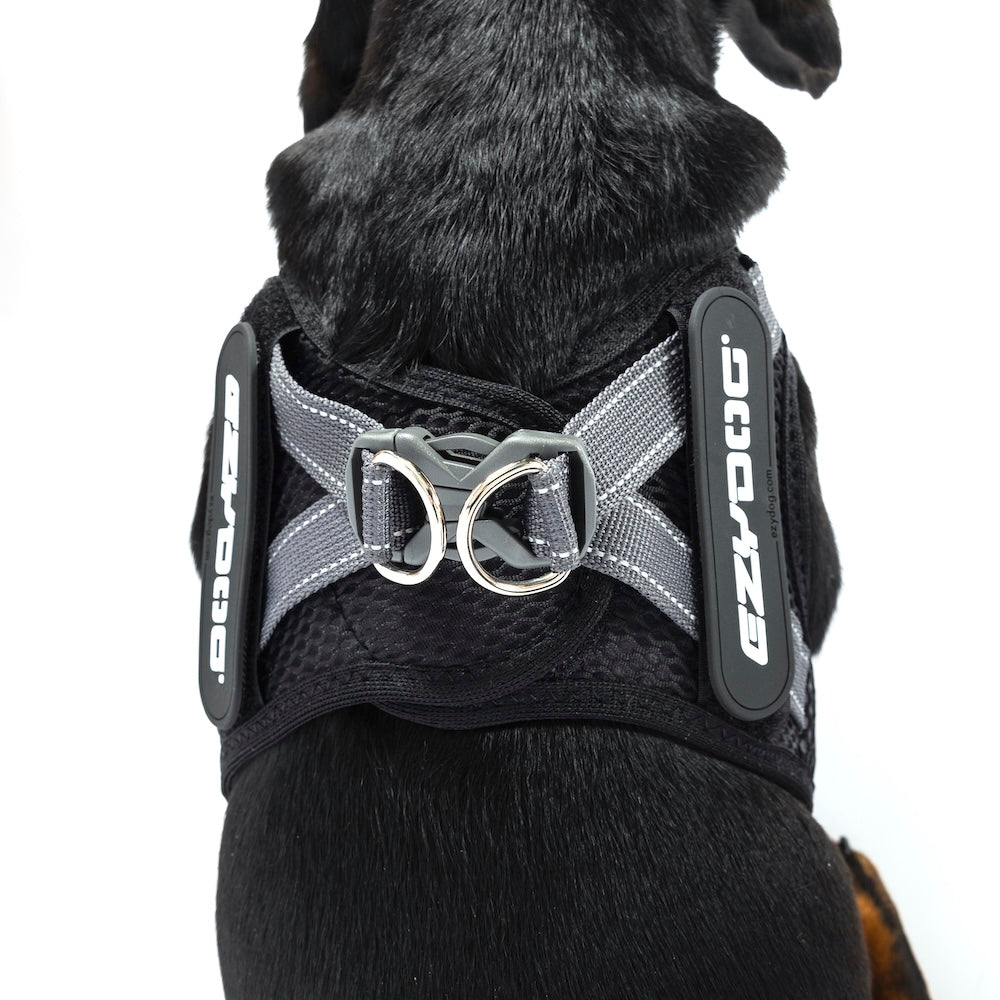 FORMFIT® Mesh Harness
