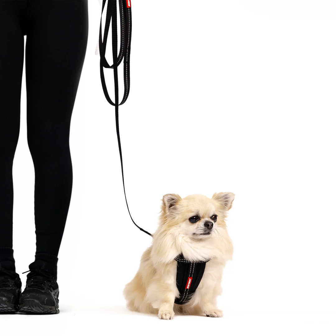 Essential Leash Lite