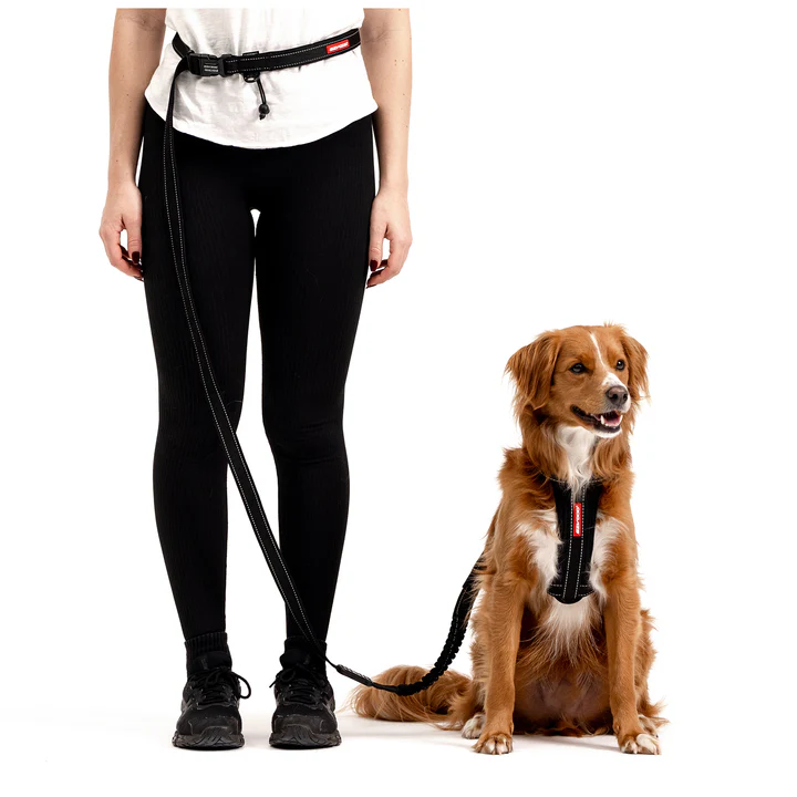 Road Runner Leash - Black Denim