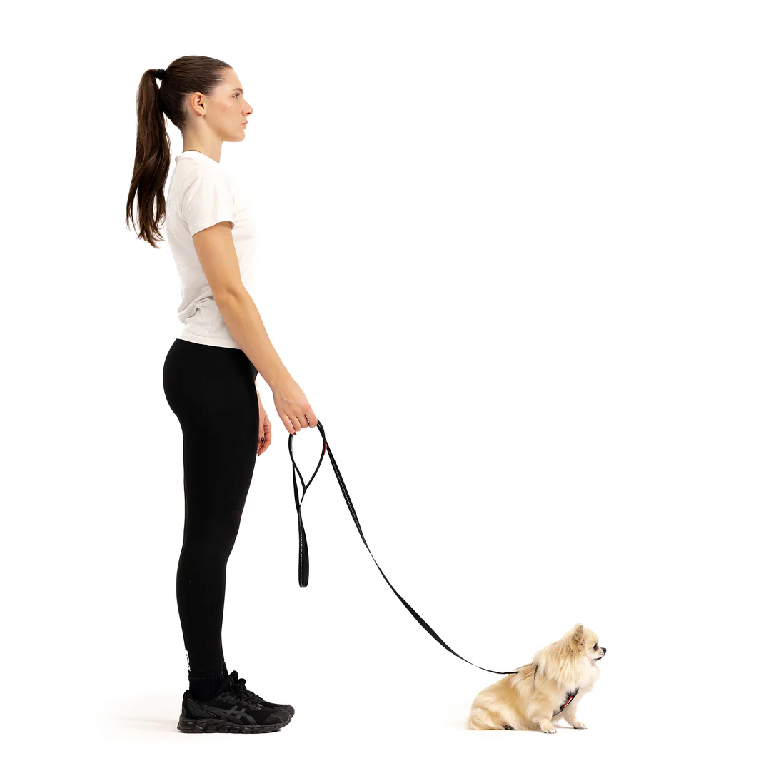Essential Leash Lite