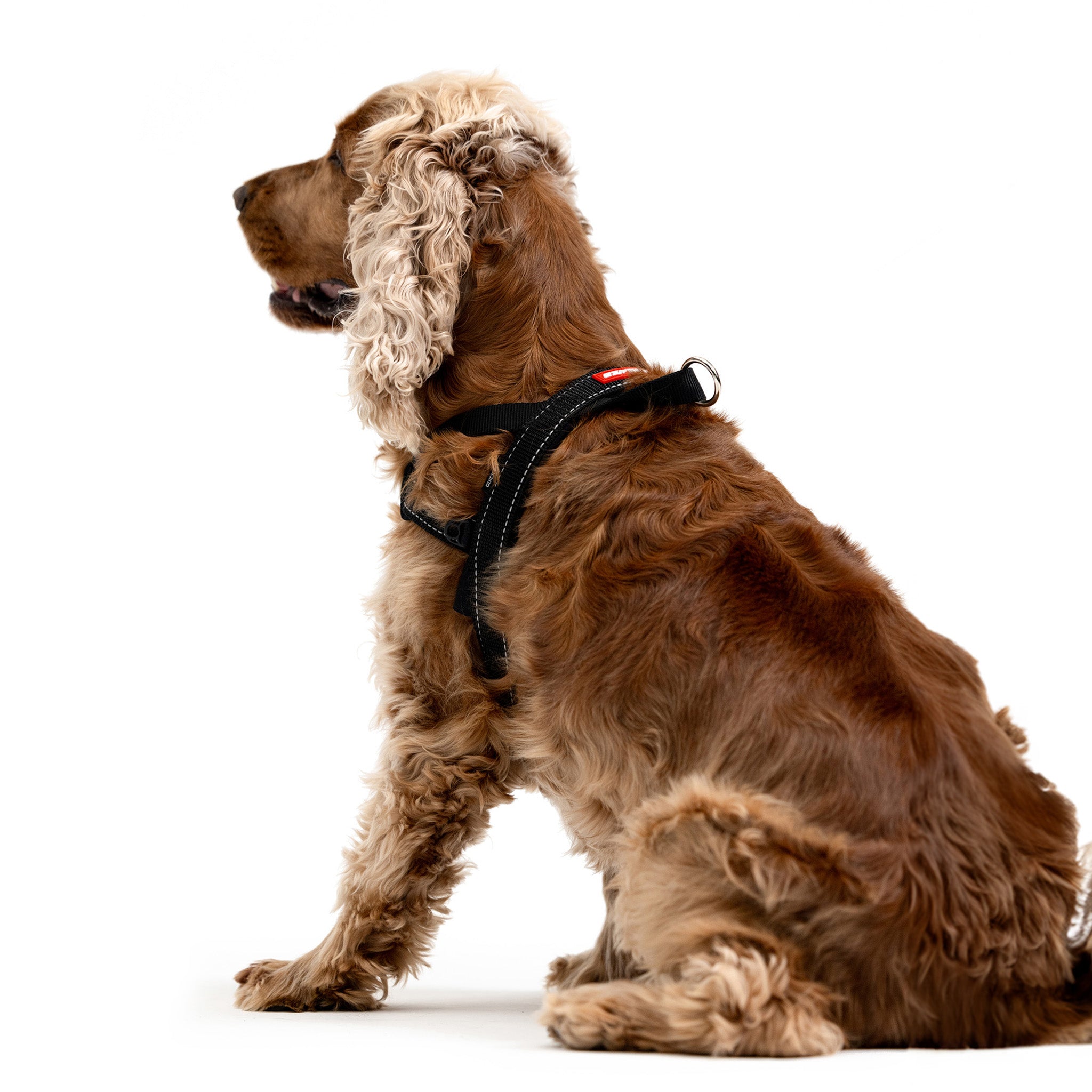 Quick Fit Harness Back