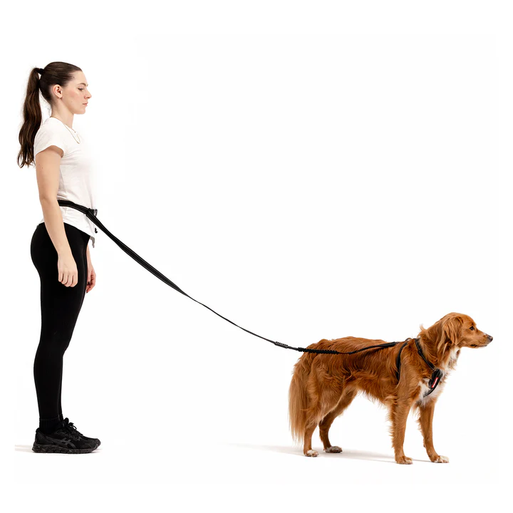 Road Runner Leash - Black Denim