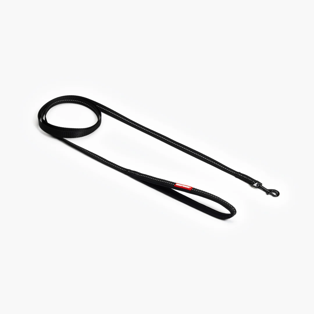 Essential Leash Lite