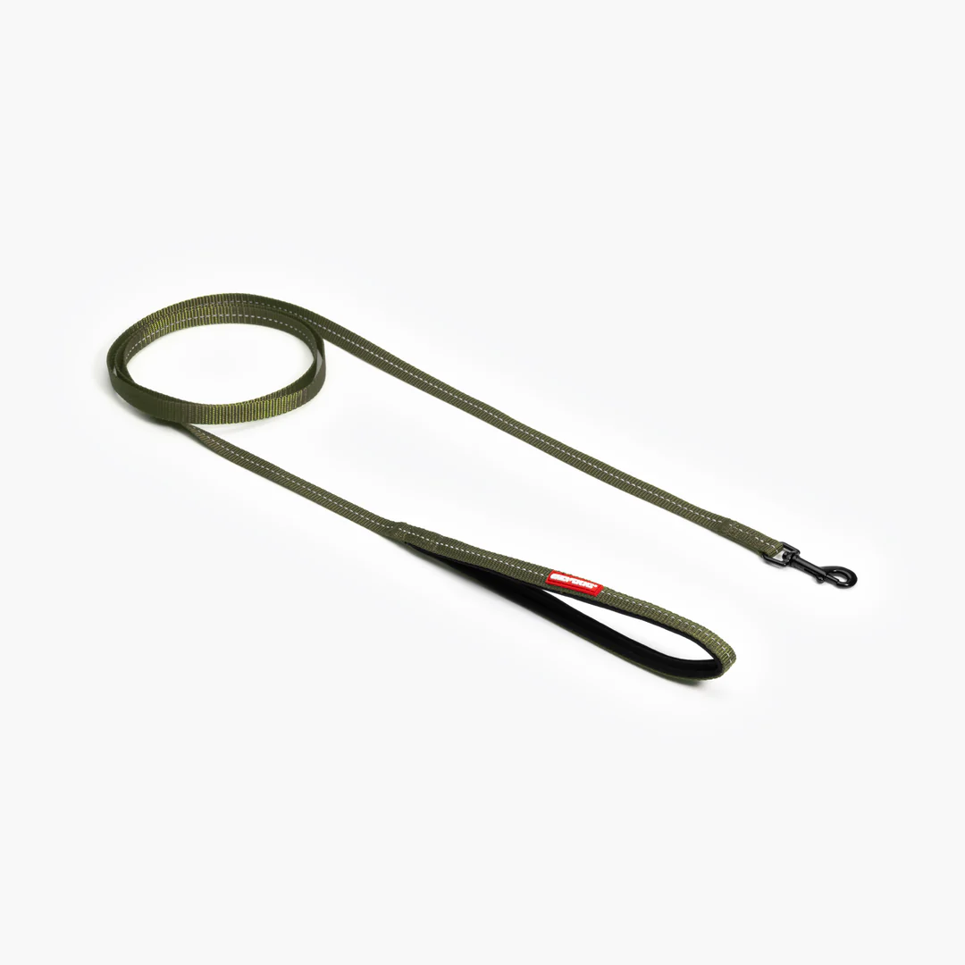 Essential Leash Lite