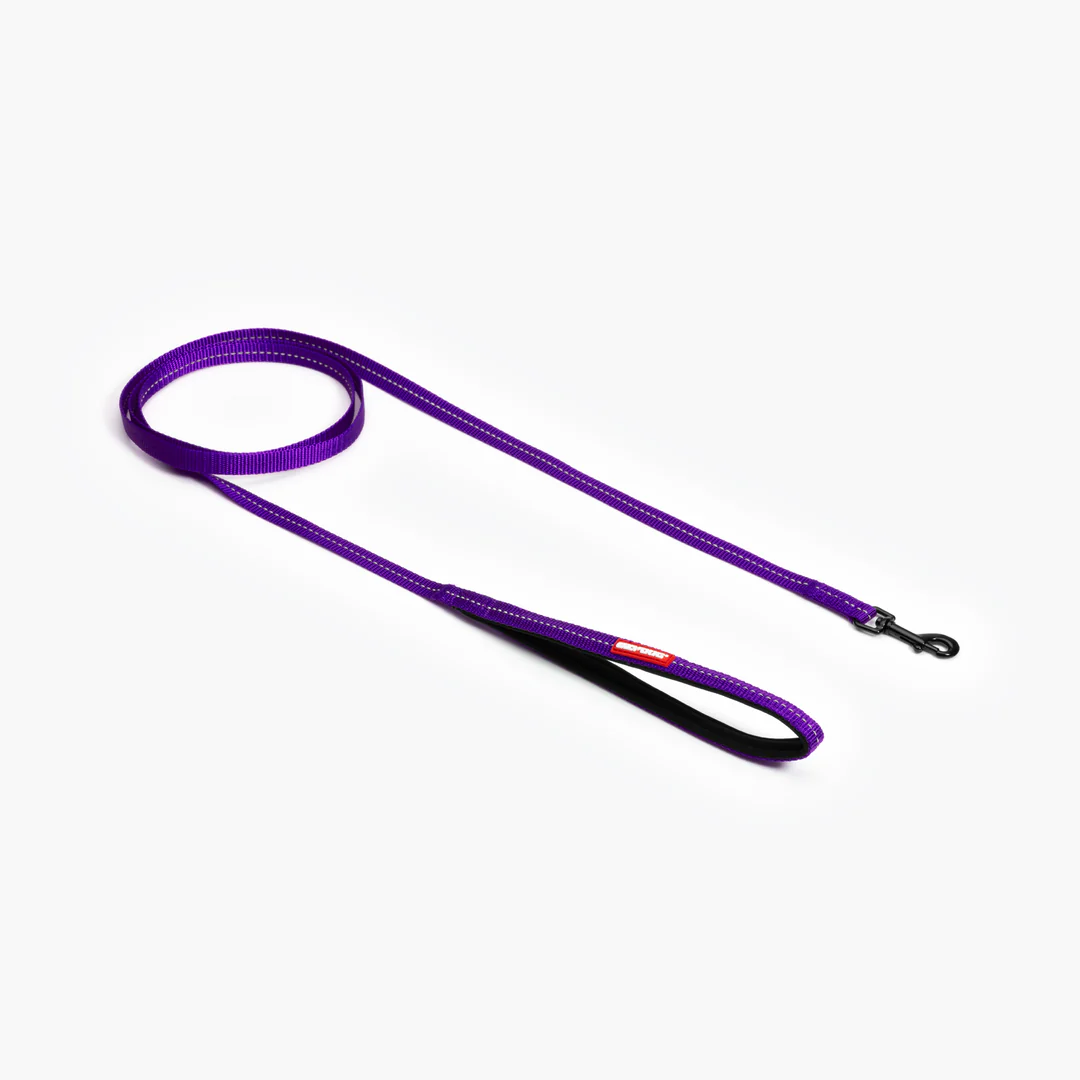 Essential Leash Lite