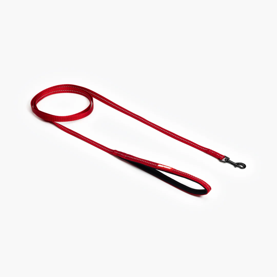 Essential Leash Lite