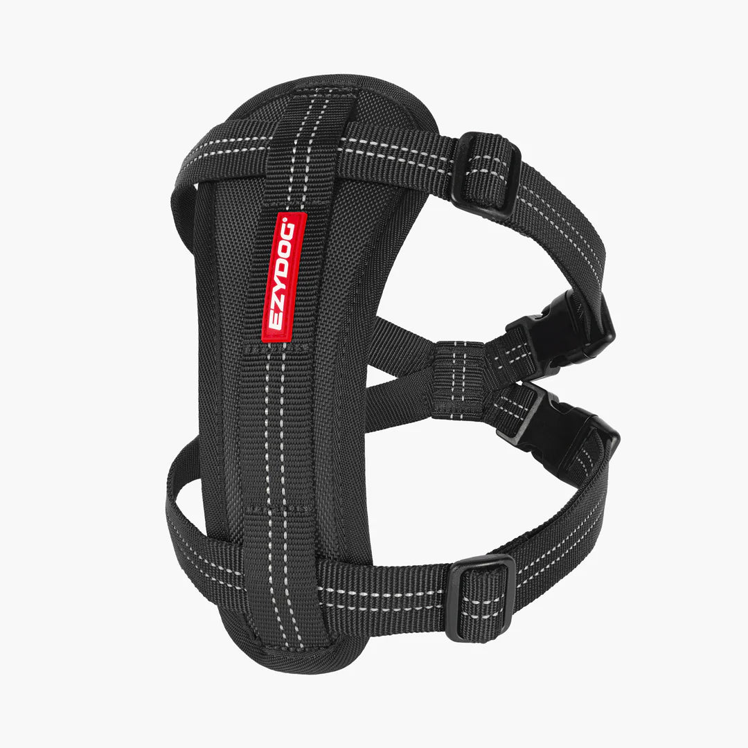 Essential Chest Plate Harness