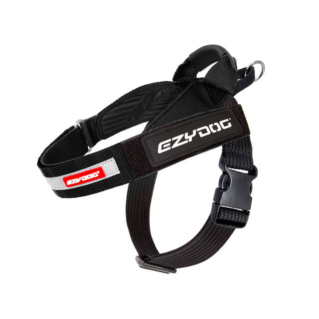 Express Harness