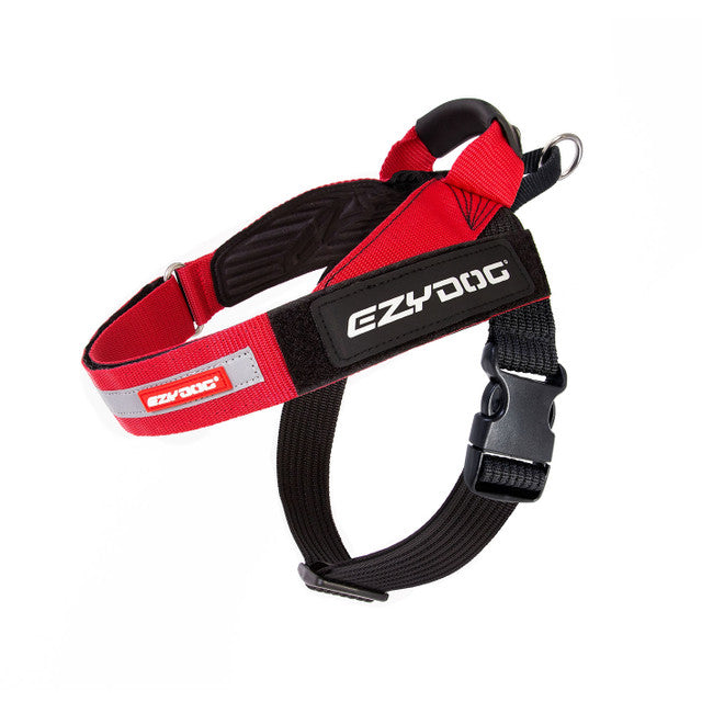 Express Harness