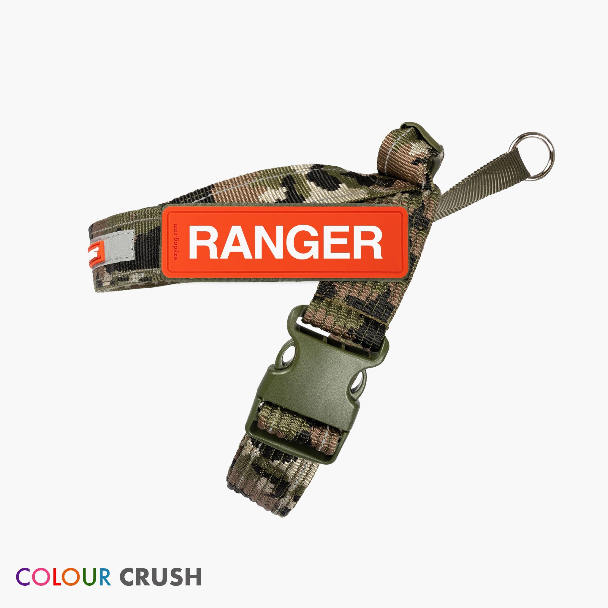 Express Harness