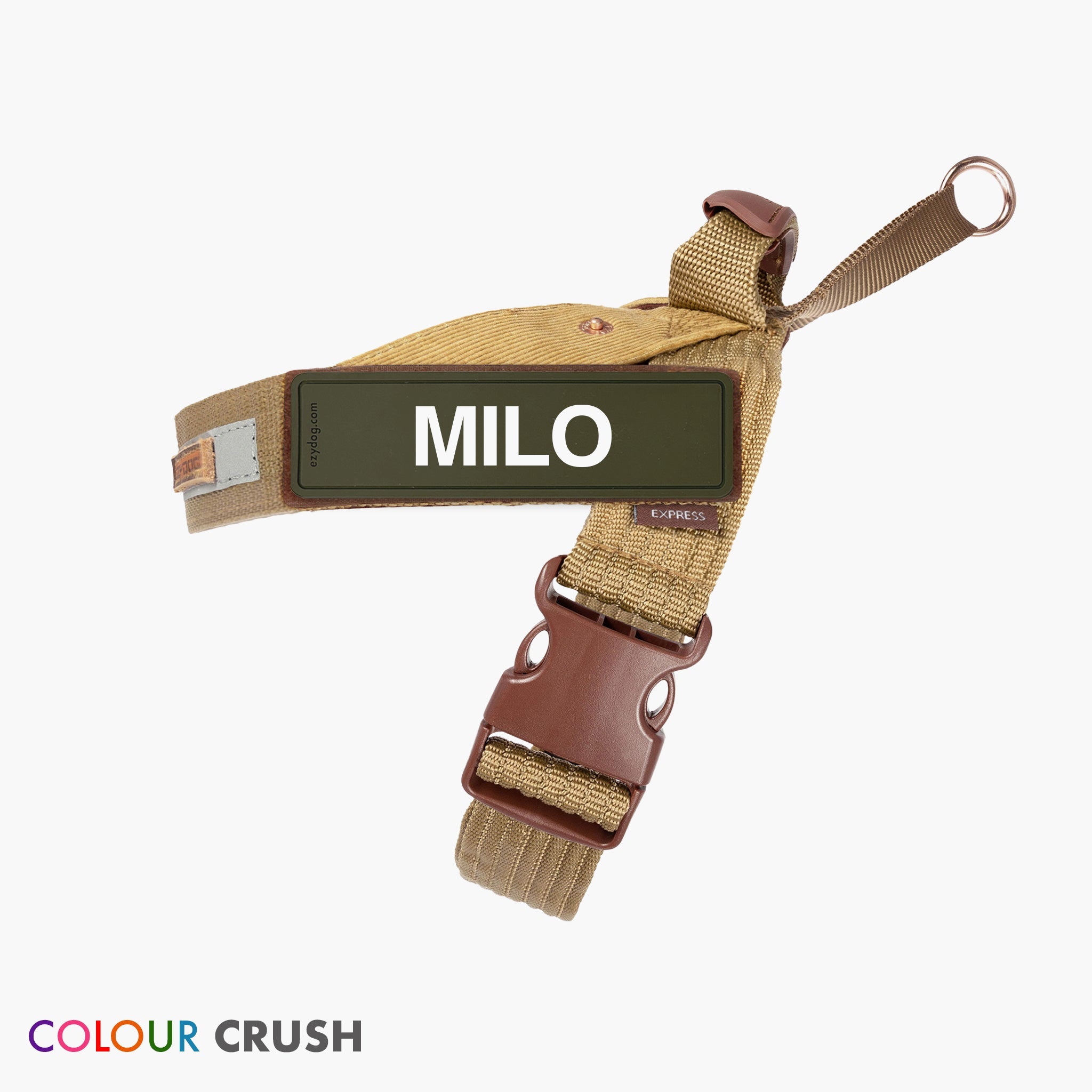 Express Harness