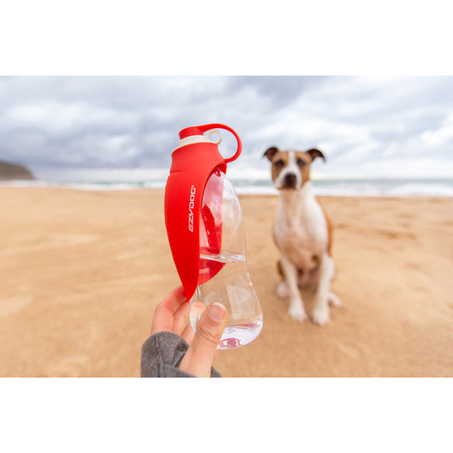 Leaf Water Bottle for Dogs