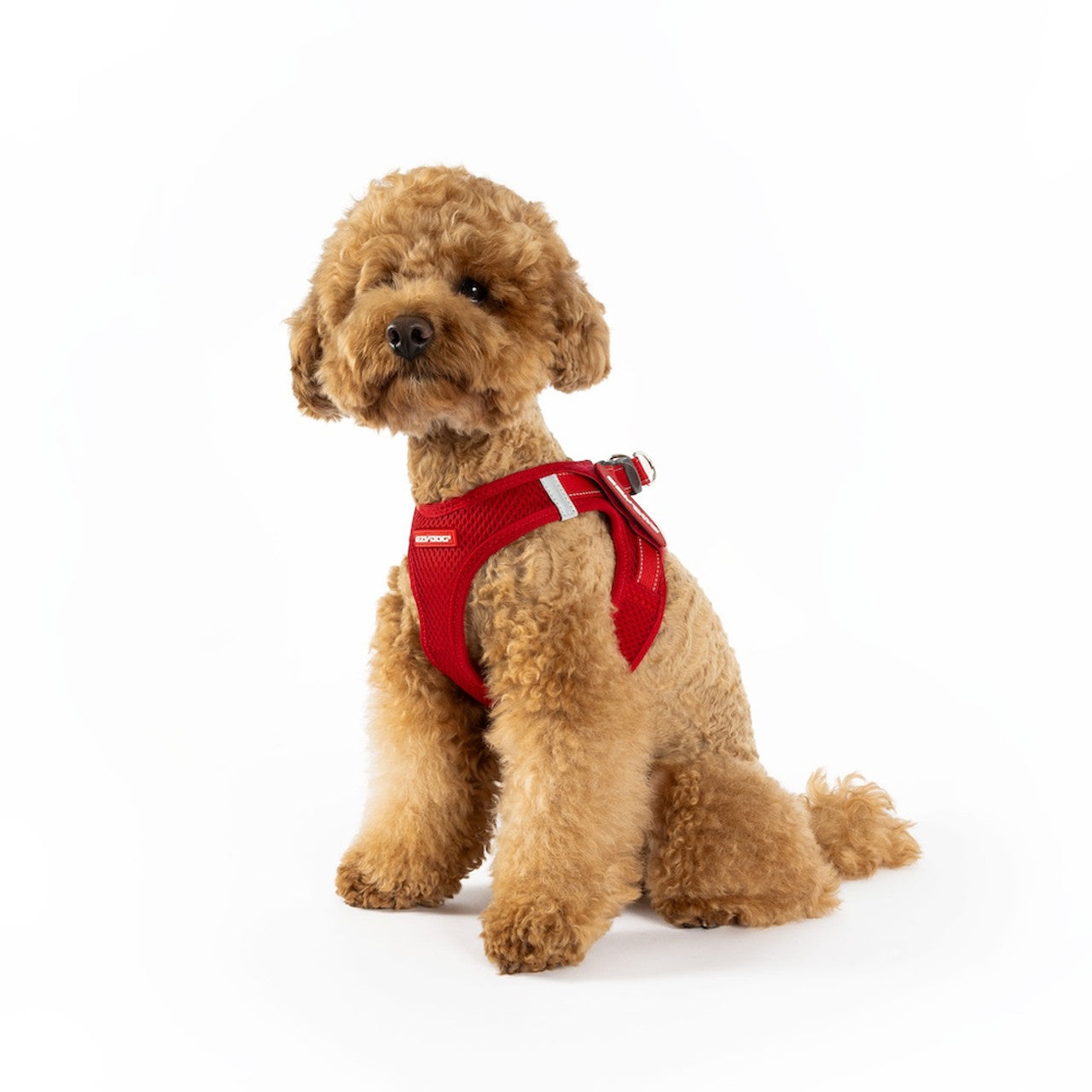 FORMFIT® Mesh Harness
