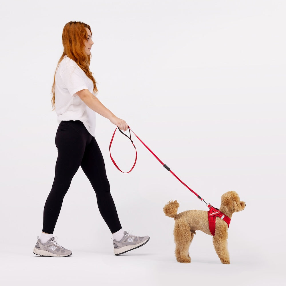 FORMFIT® Mesh Harness