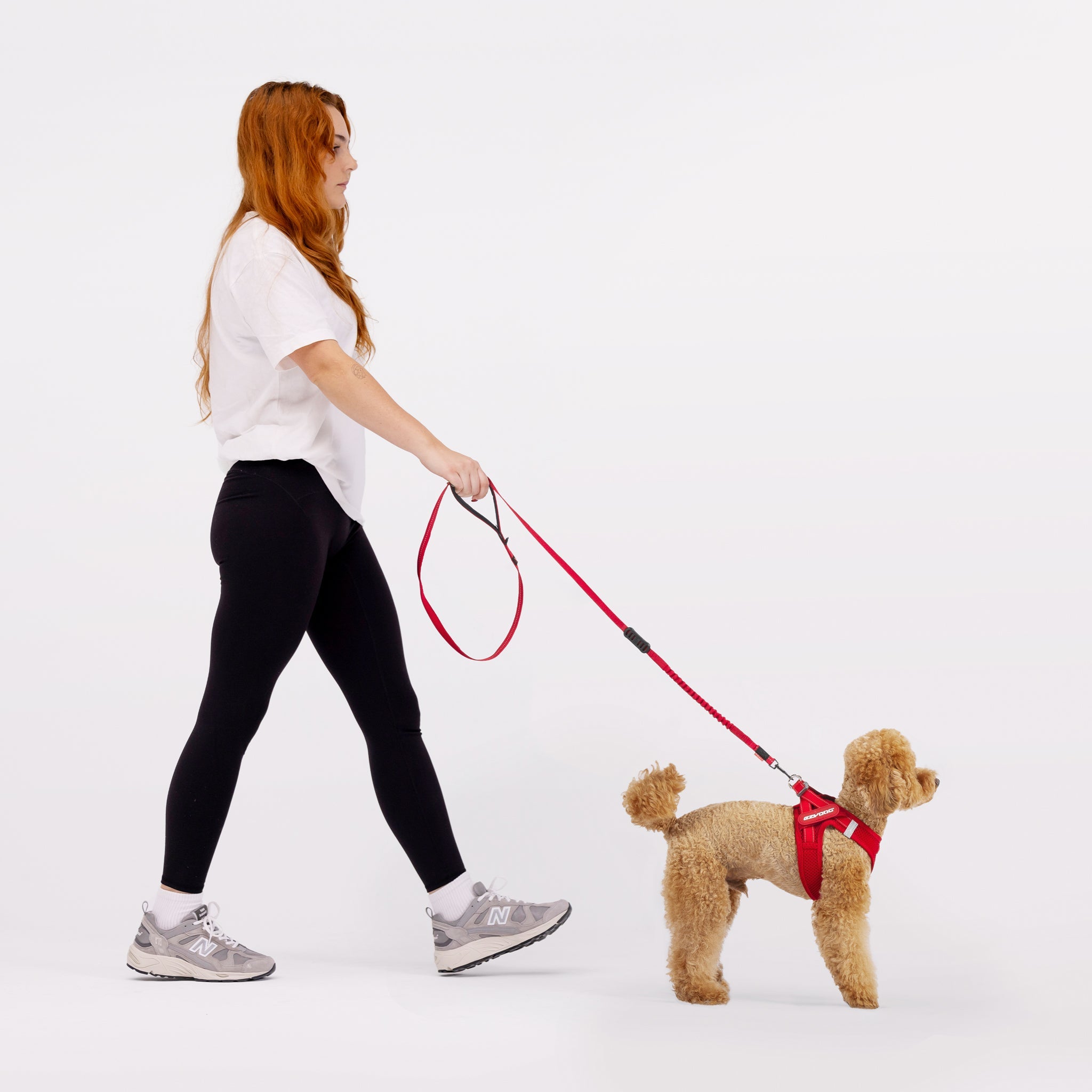 a woman walking a small dog wearing formfit mesh harness in red colour