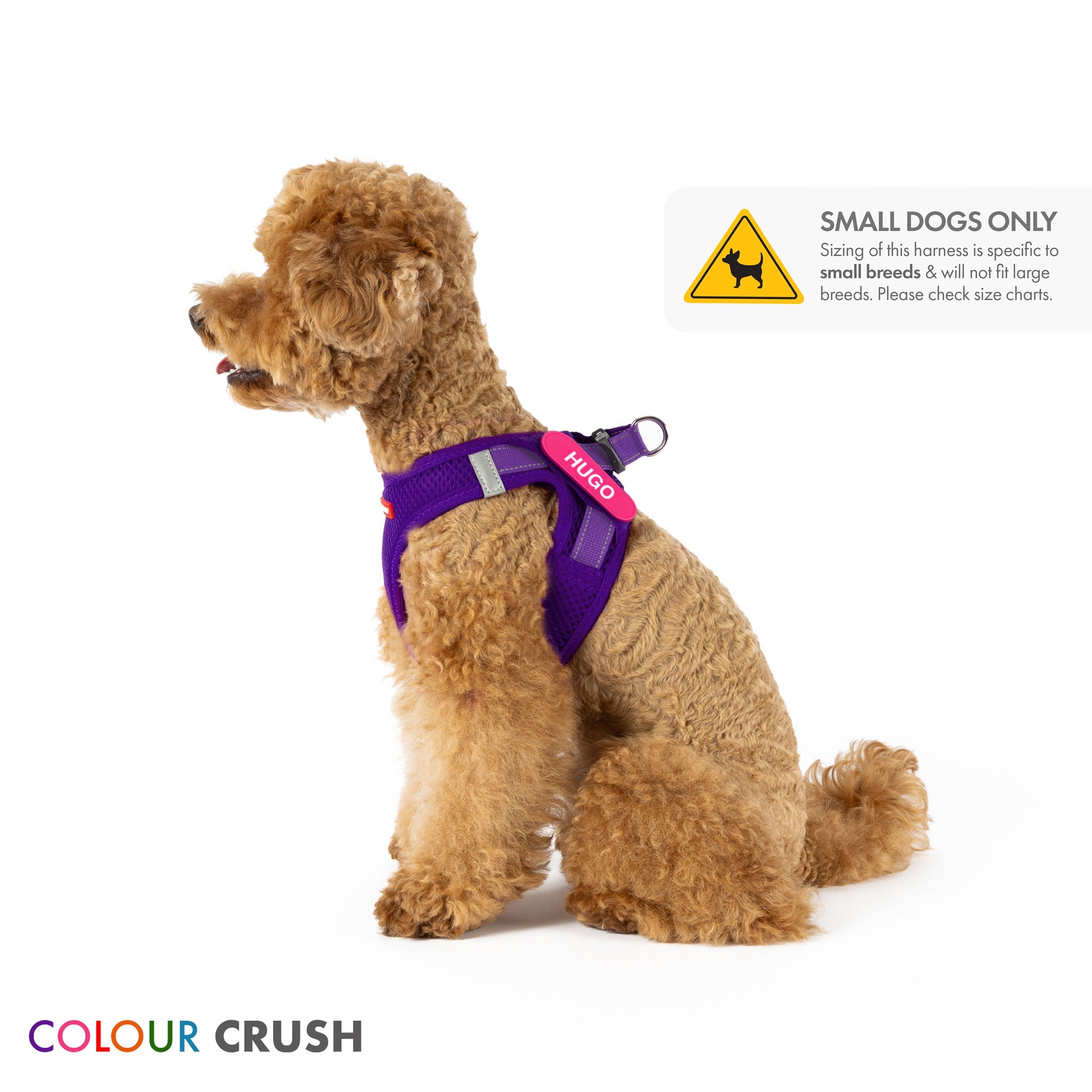 FormFit Mesh Harness for small dogs
