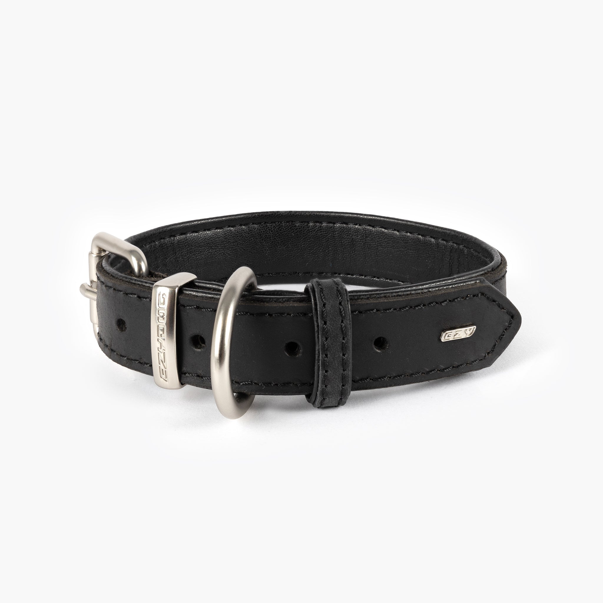 Black leather dog collar with silver buckle and D-ring.