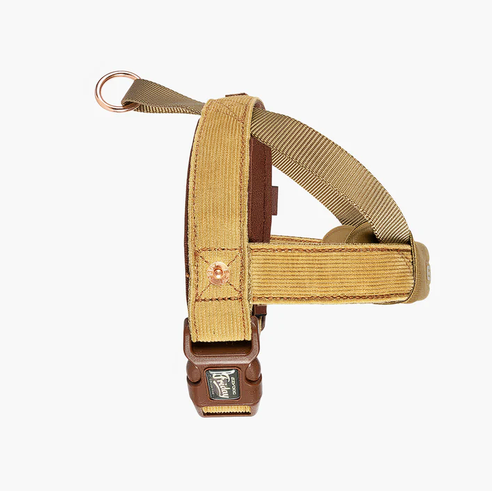Quick Fit Harness - Corduroy Collection