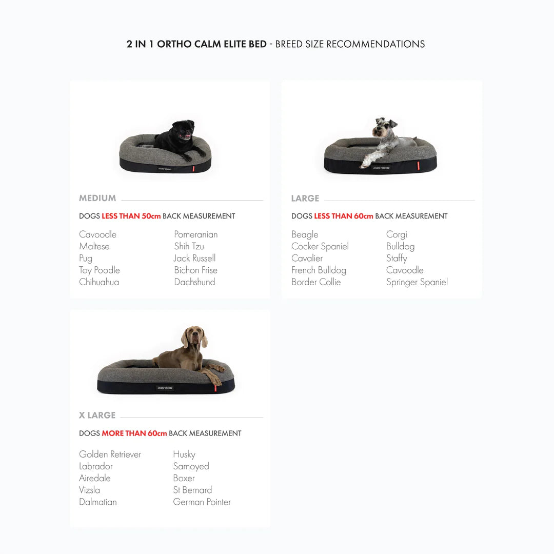 2 in 1 Ortho Calm Elite Dog Bed