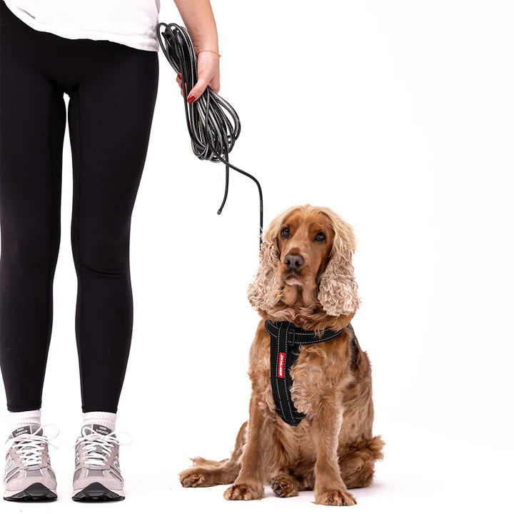 Track N Train Slimline Dog Leash