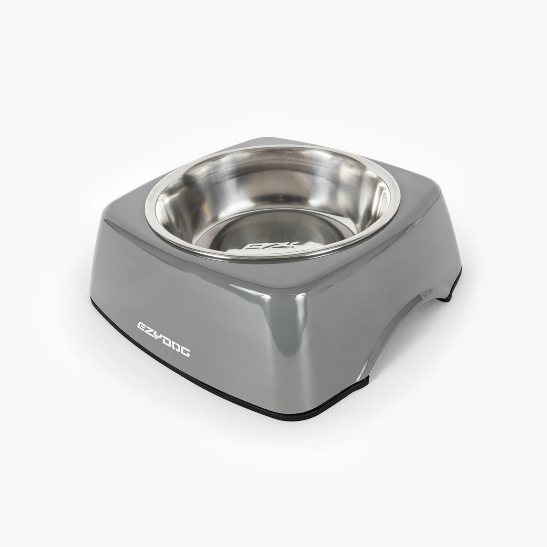 Uno Dog Bowl