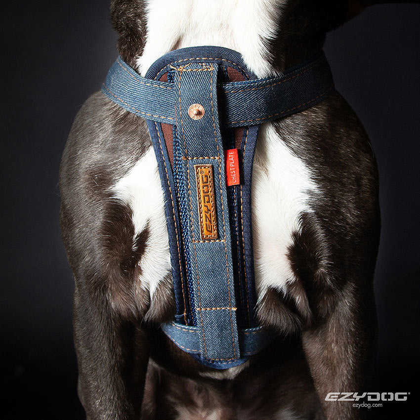 Chest Plate Harness - Denim