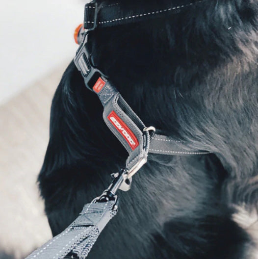 Crosscheck Harness