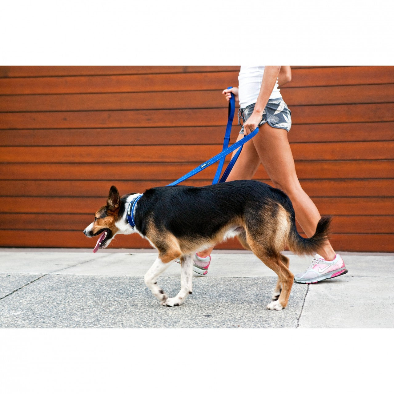 Vario 6 Multi-Function Leash Snap Clip Lite