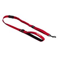 dog leash