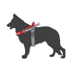 Shop Dog Harnesses, Collars & Leashes