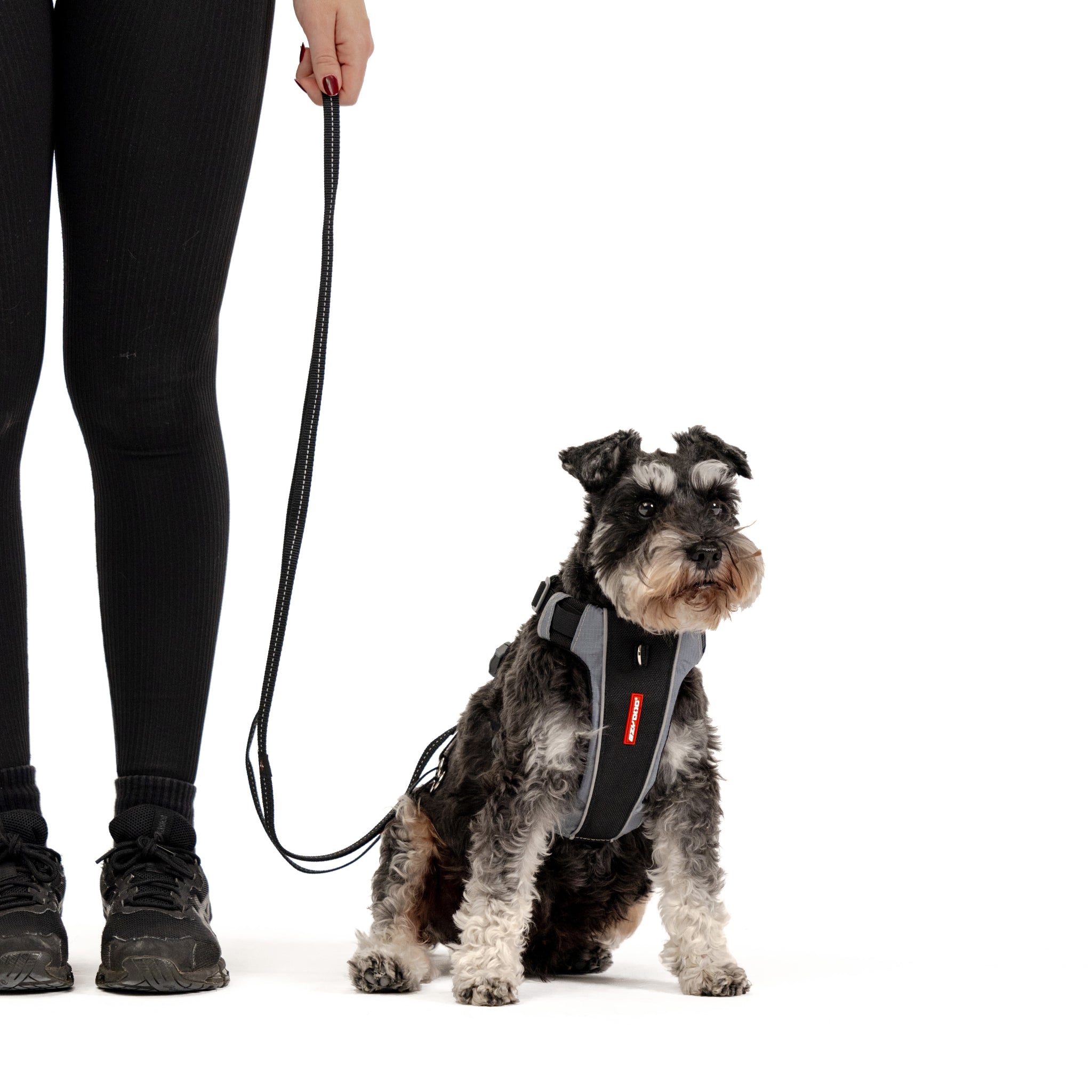 Vario 6 Multi-Function Leash