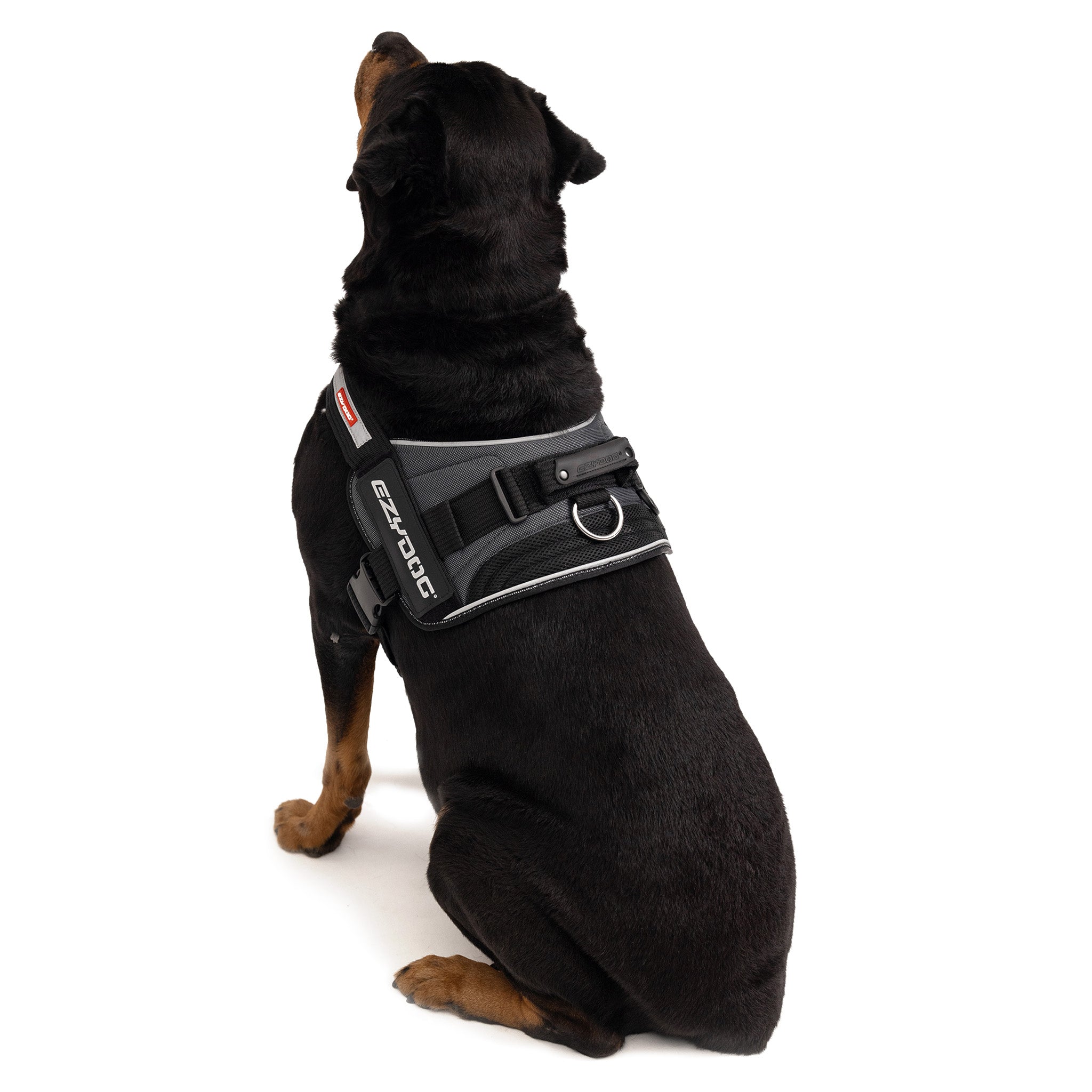Convert Harness Back