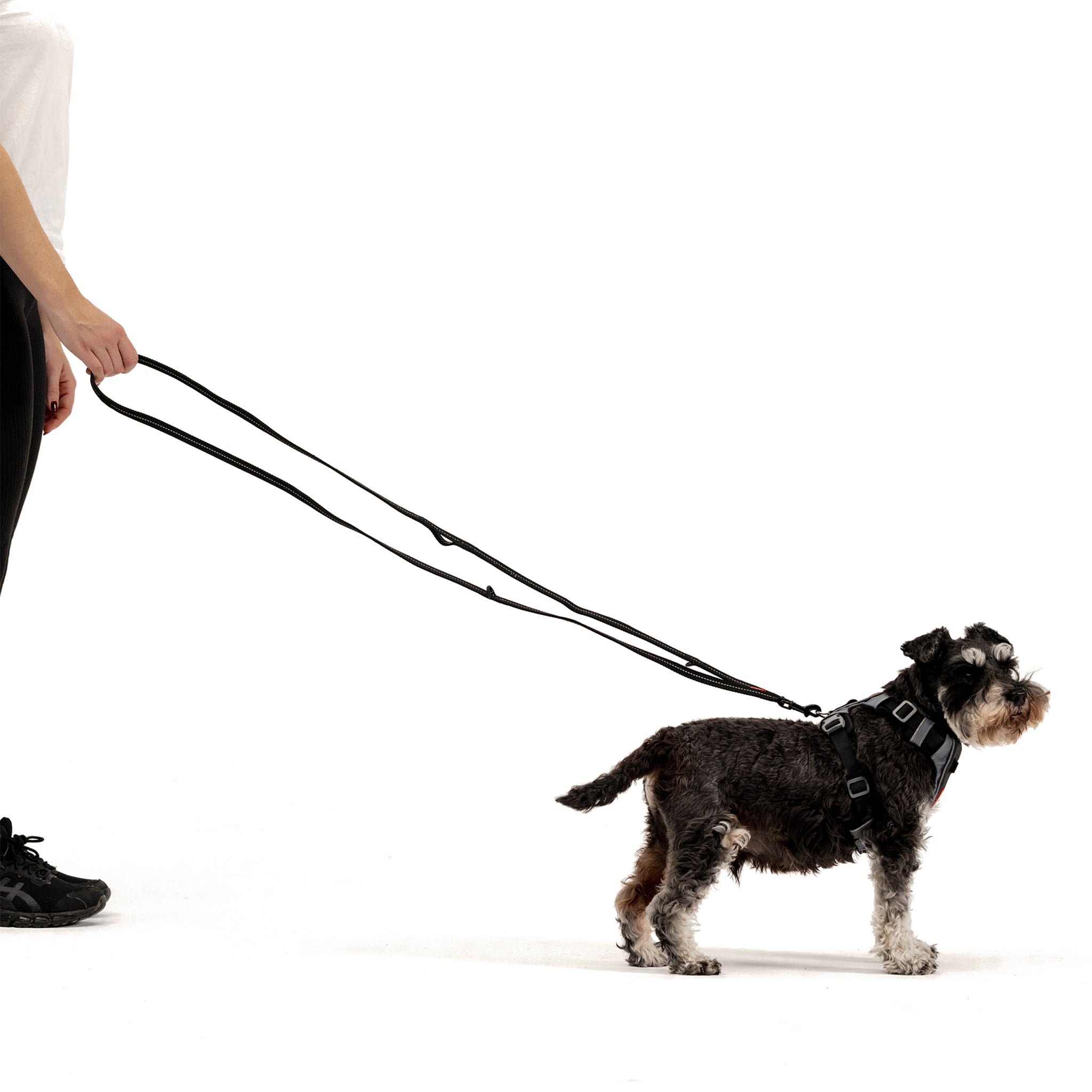 Vario 6 Multi-Function Leash