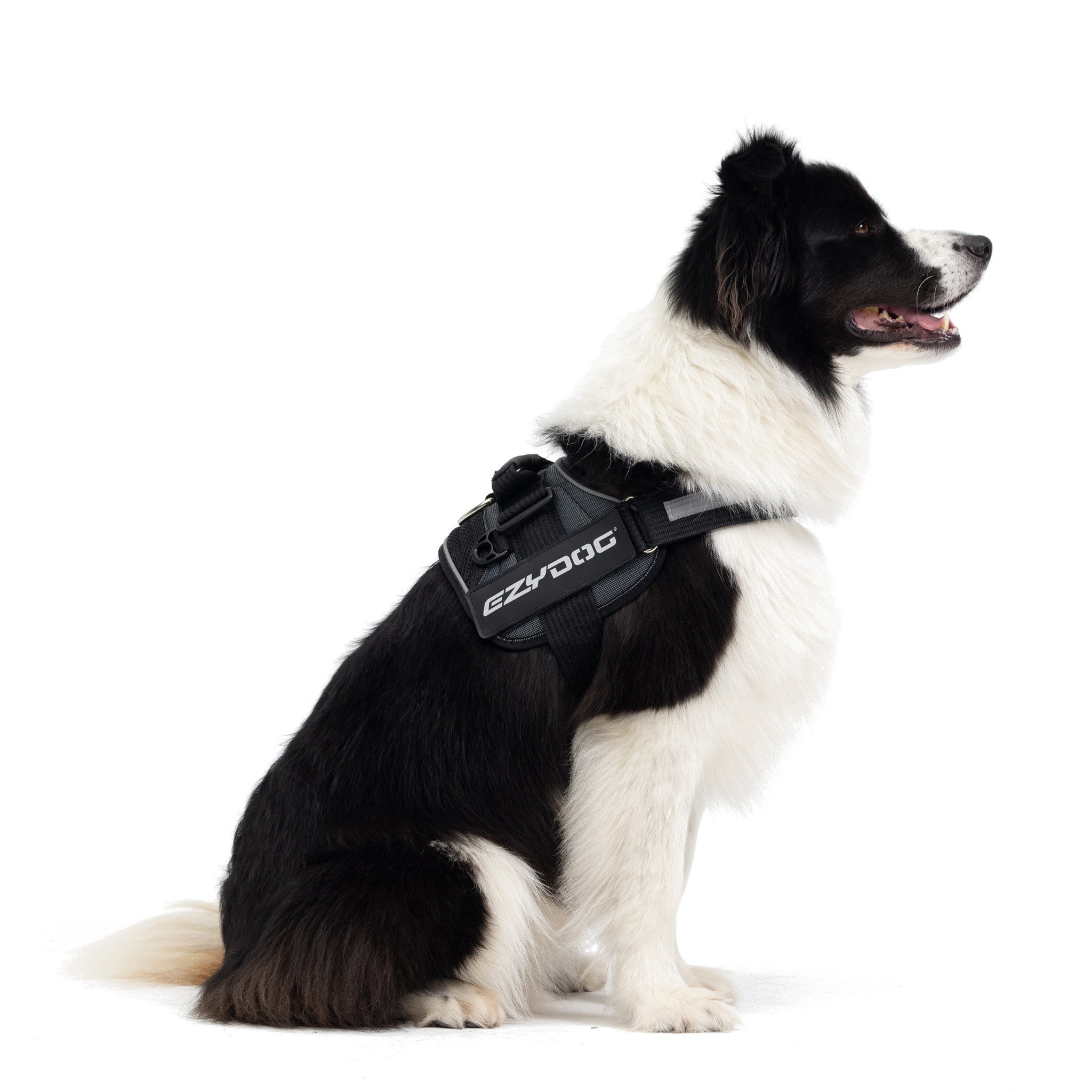 Convert Harness Side