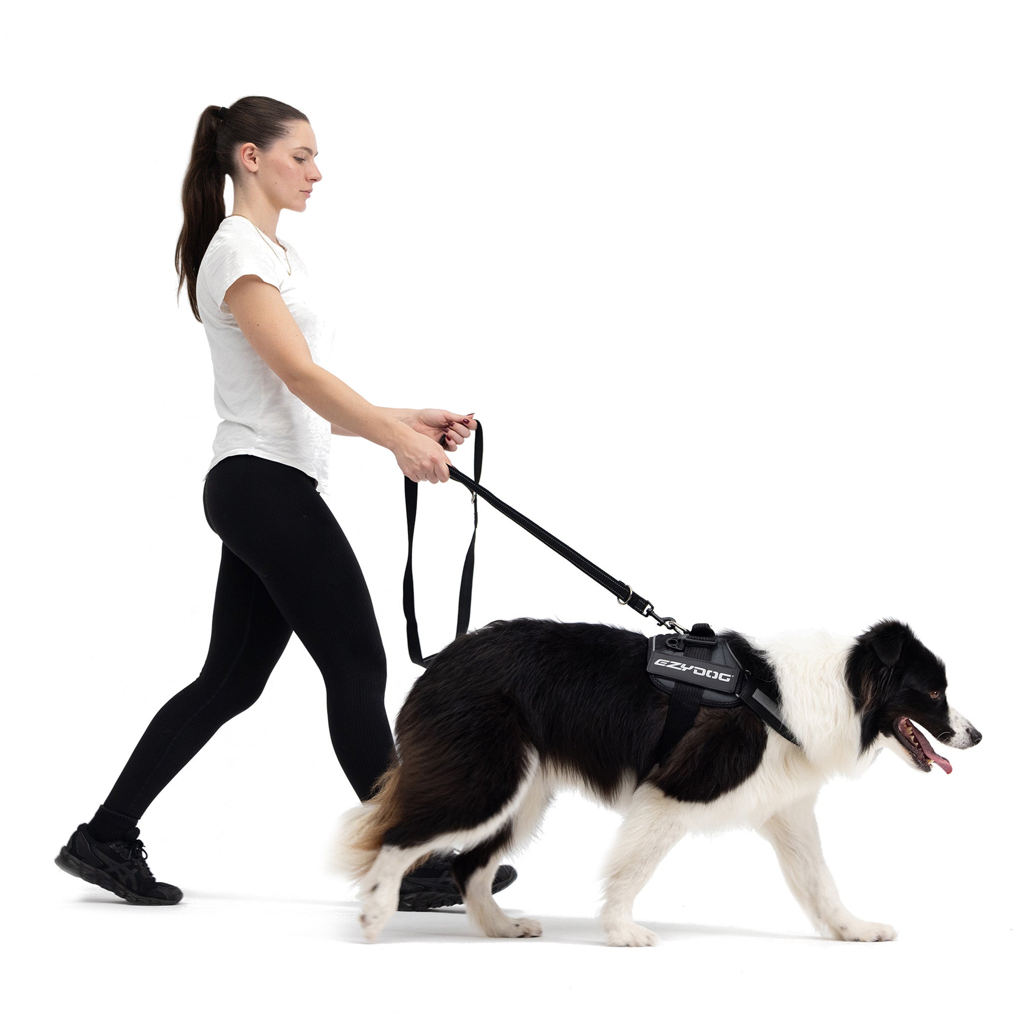 Convert Harness Walking