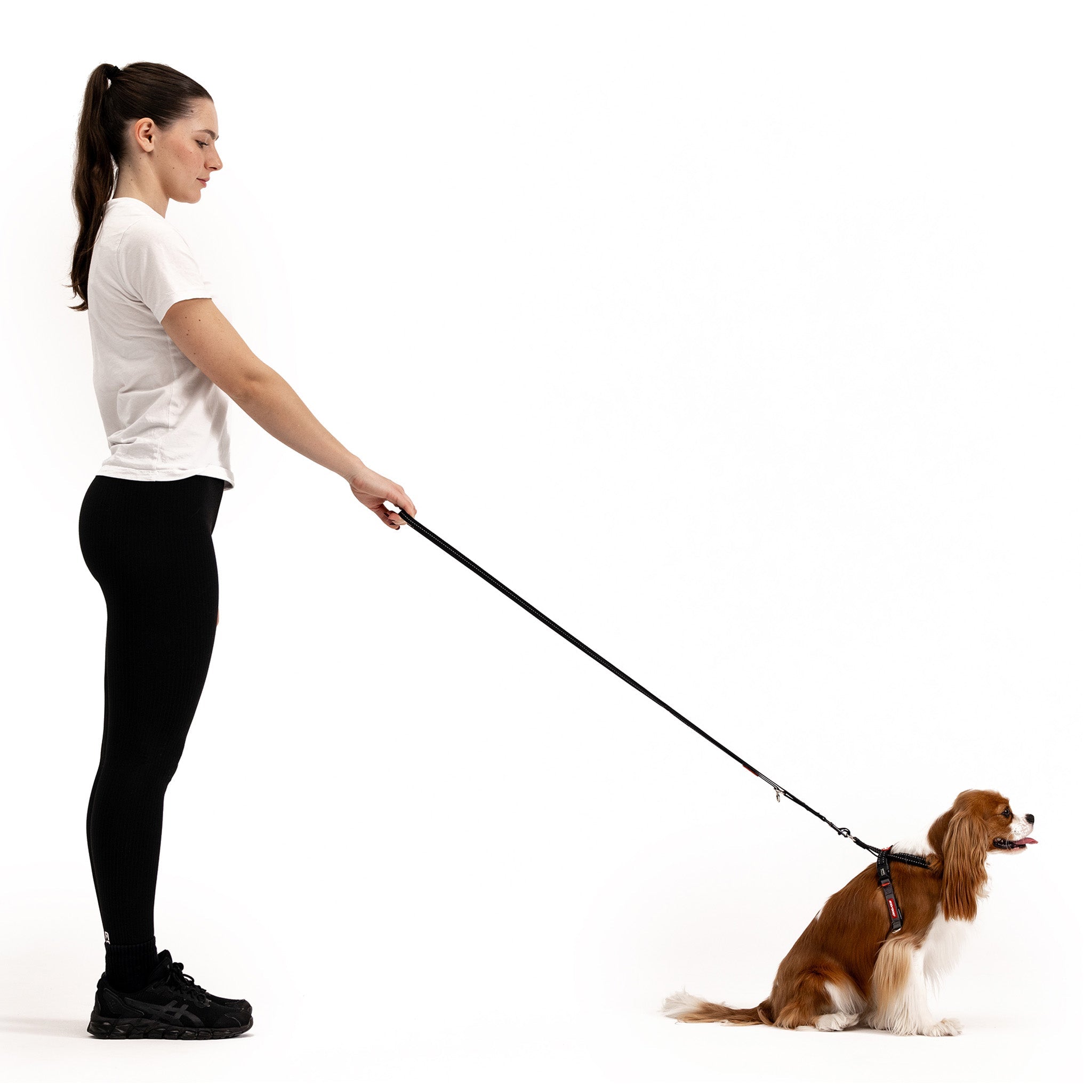 Woman walking a dog on a leash, with the dog wearing an EzyDog CrossCheck harness, shown in a standing position.