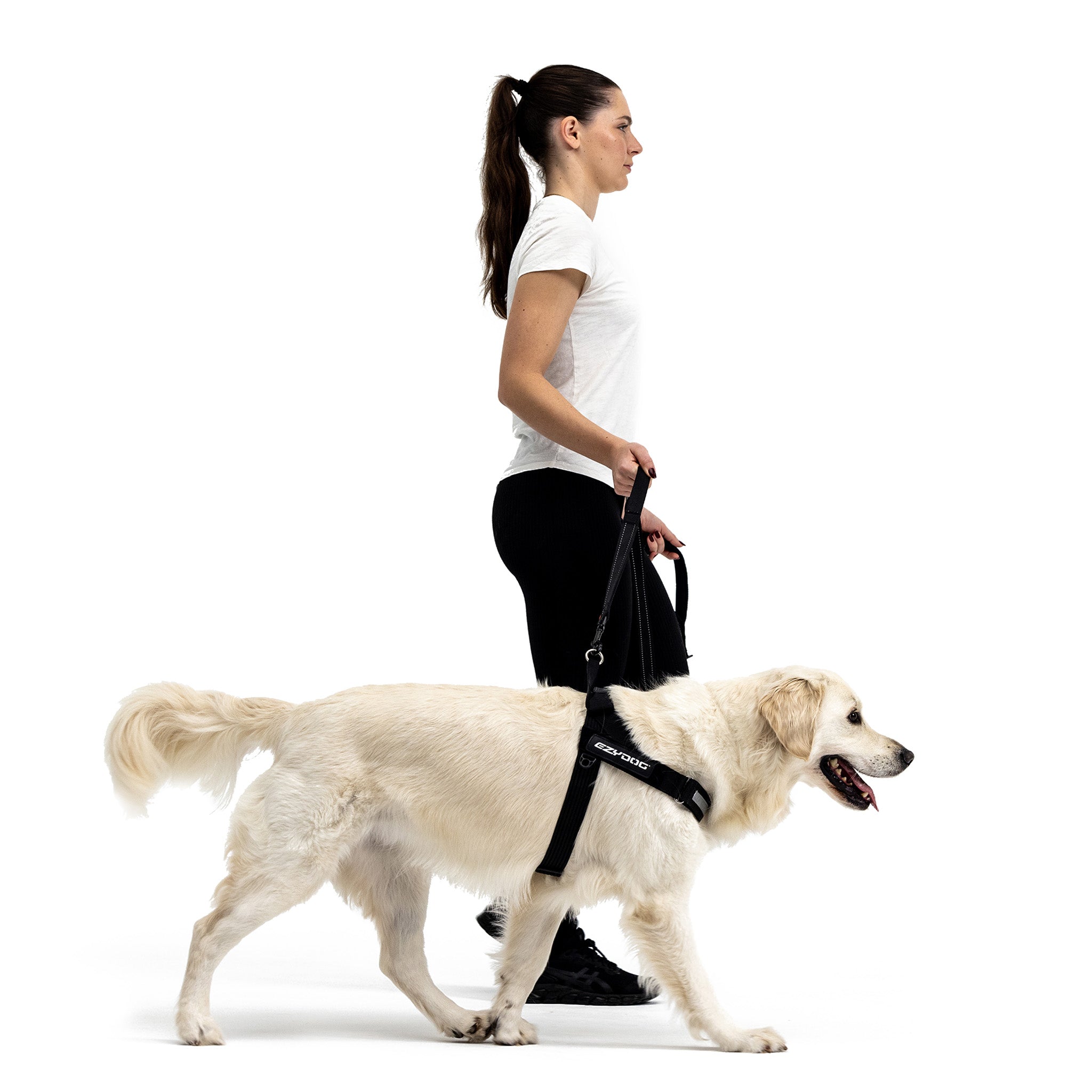 walking dog with express harness