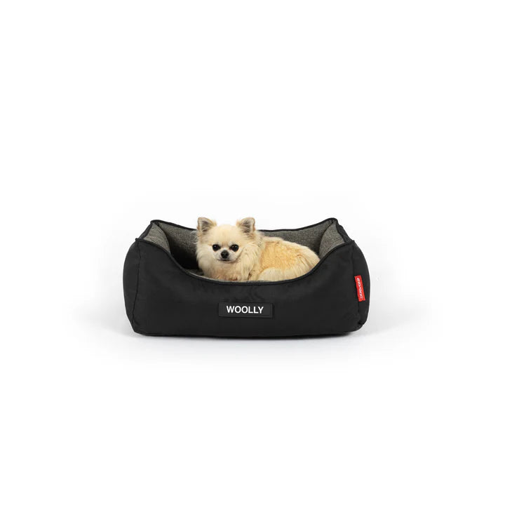 2 in 1 Ortho Smart Dog Bed