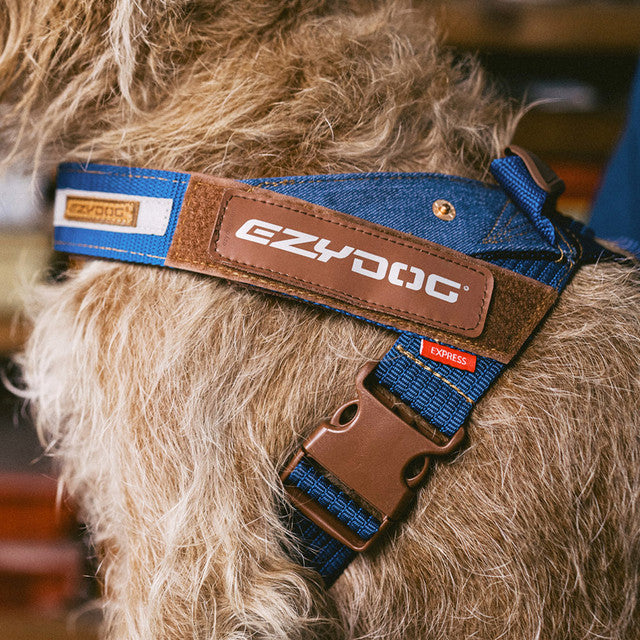 Ezydog 2025 xpress harness