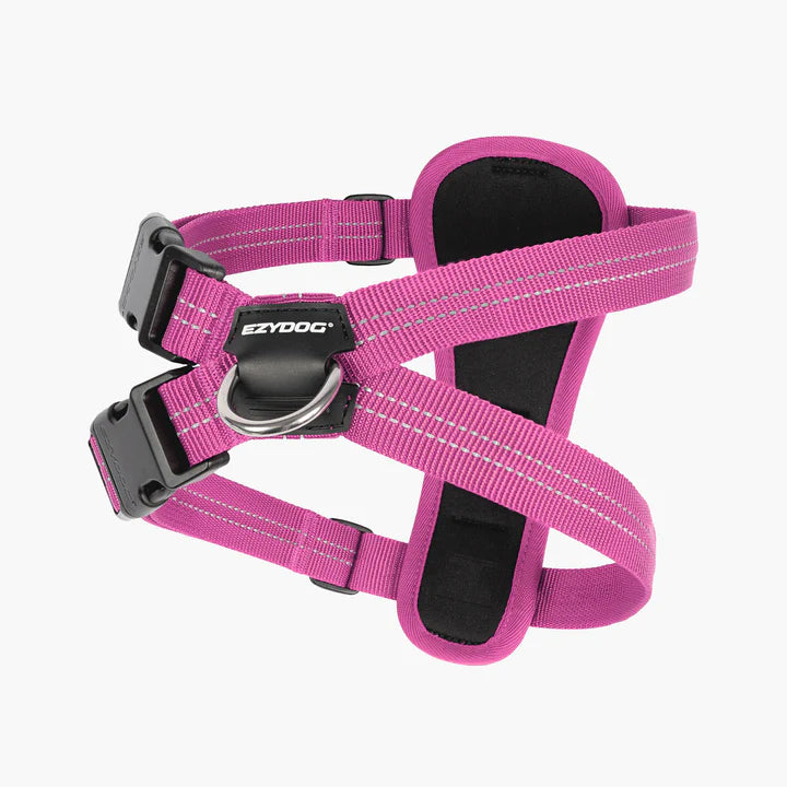 Essential Chest Plate Harness
