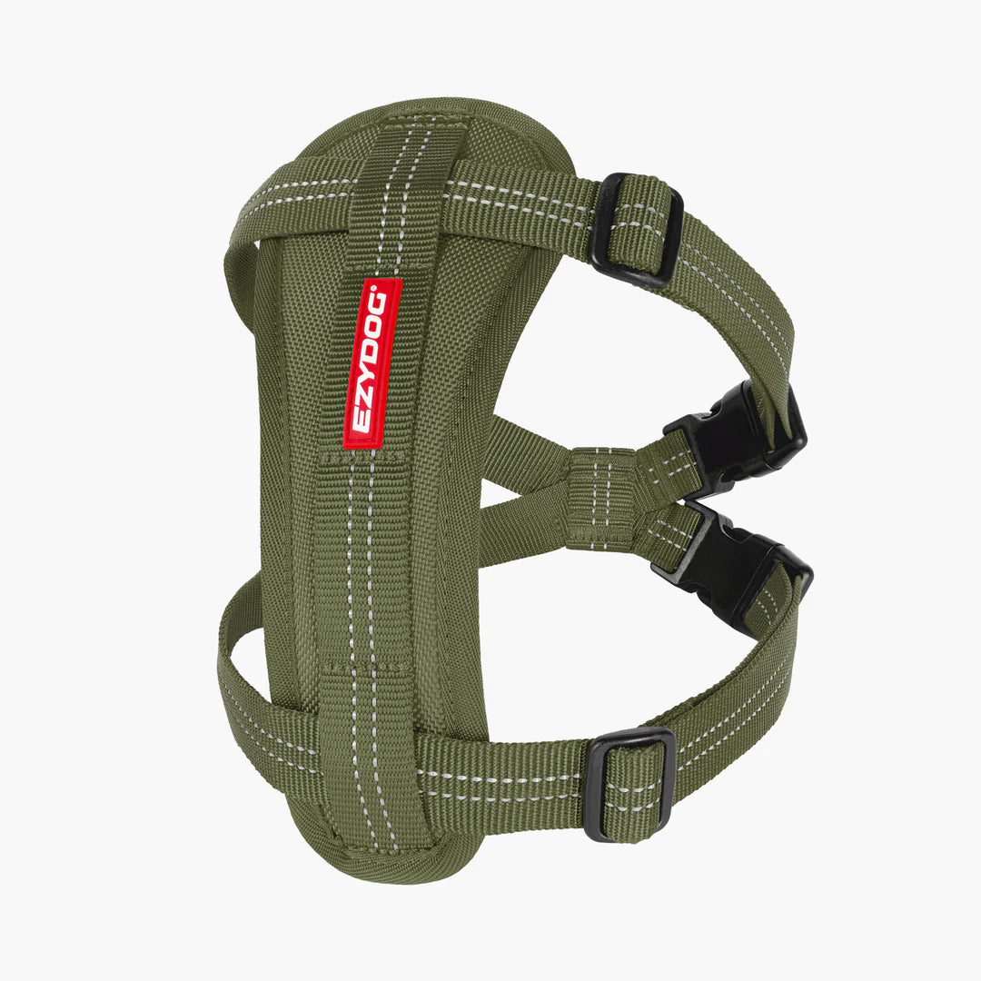 Essential Chest Plate Harness