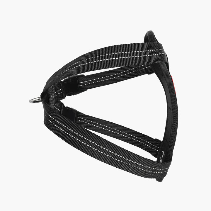 Essential Chest Plate Harness
