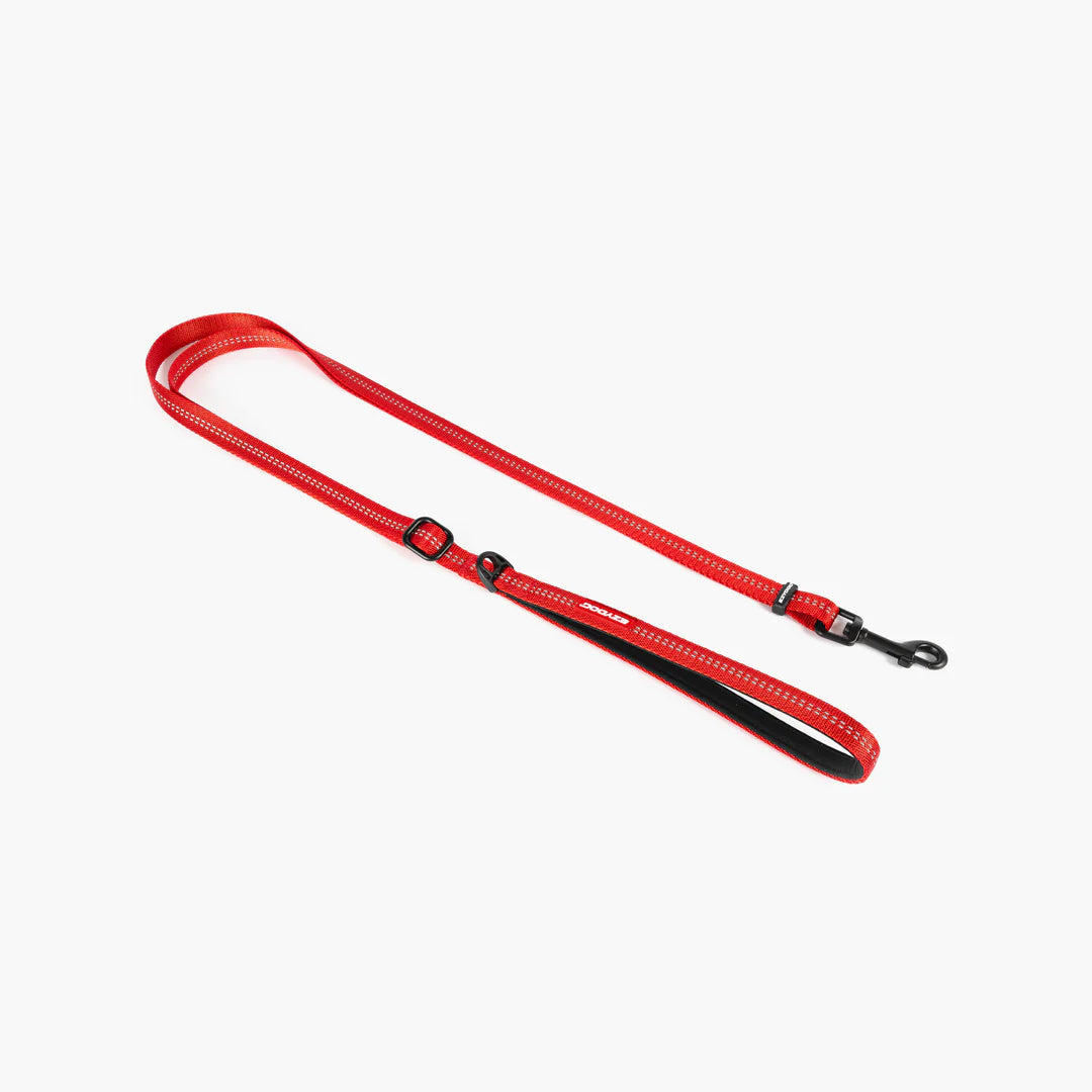 Essential Adjustable Leash