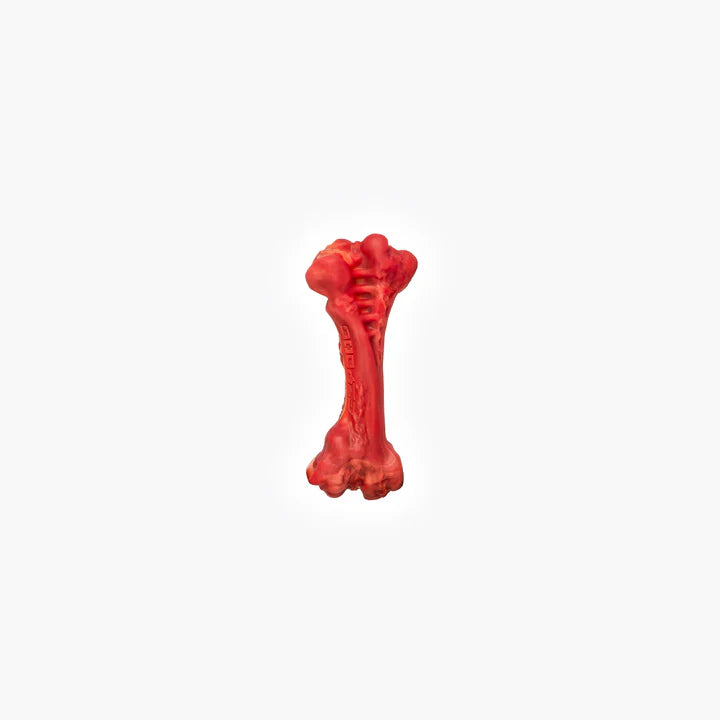 EzyBones Chew Toy