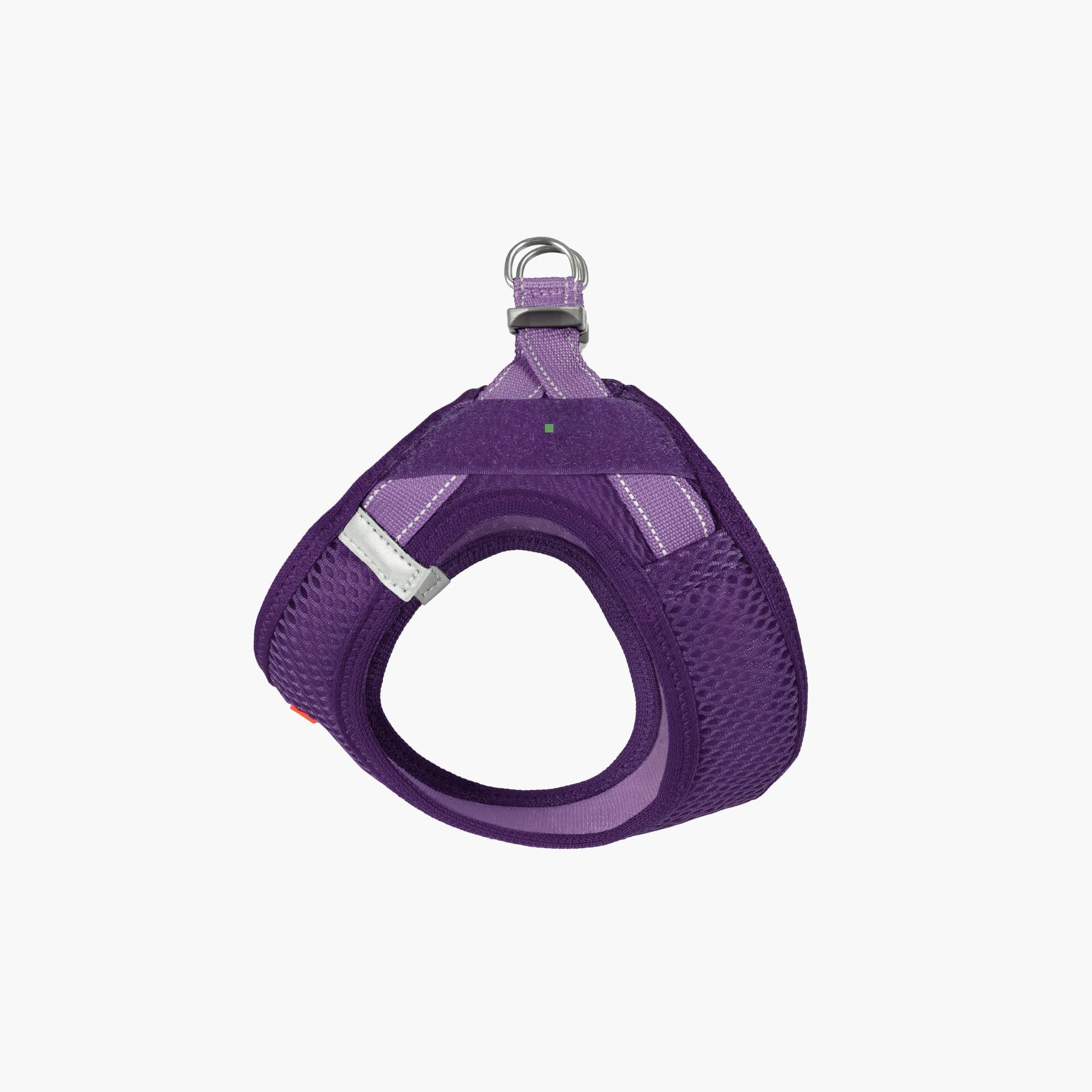 Front view of a purple EzyDog harness with adjustable straps and a metal ring for leash attachment.