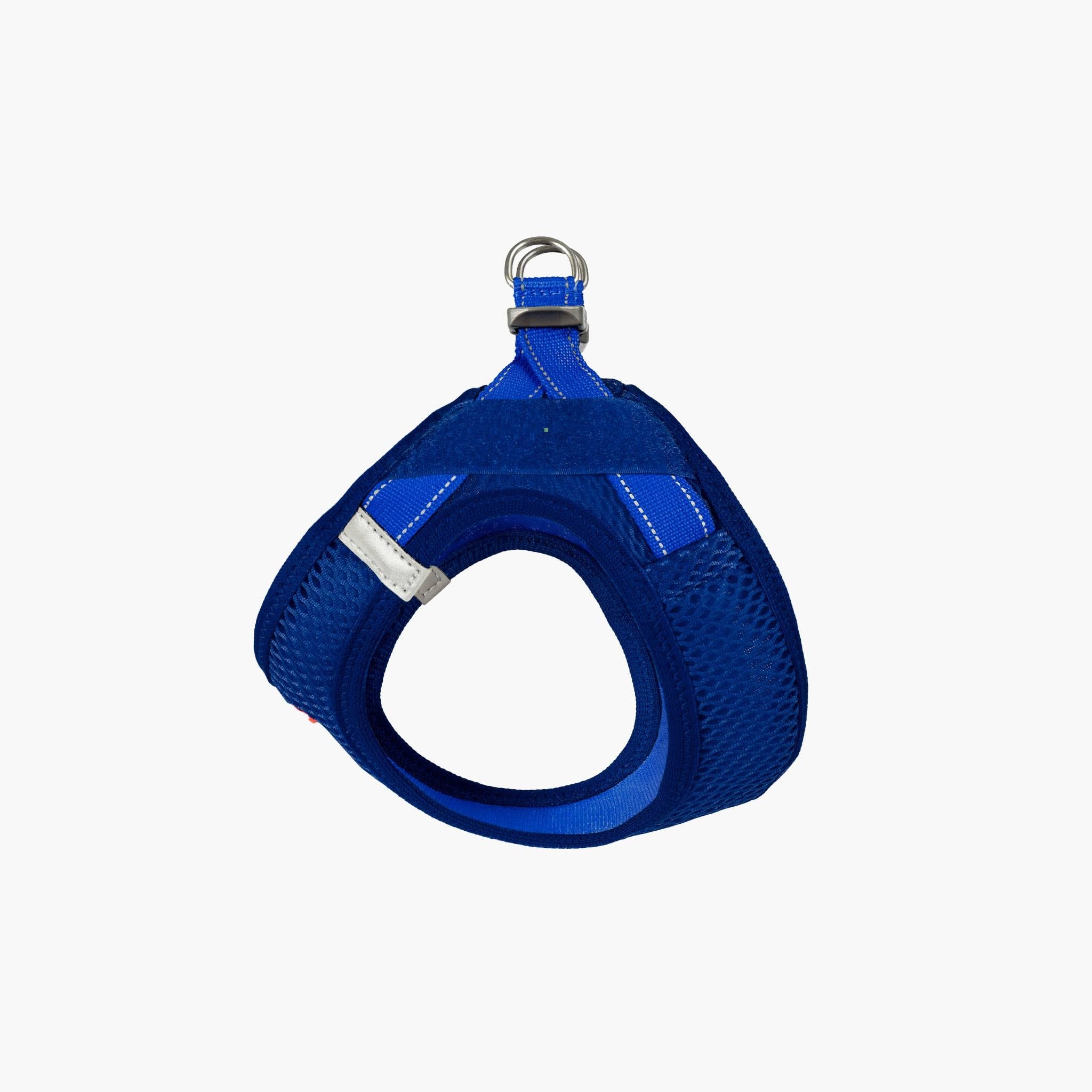 Front view of a blue EzyDog harness with adjustable straps and a metal ring for leash attachment.