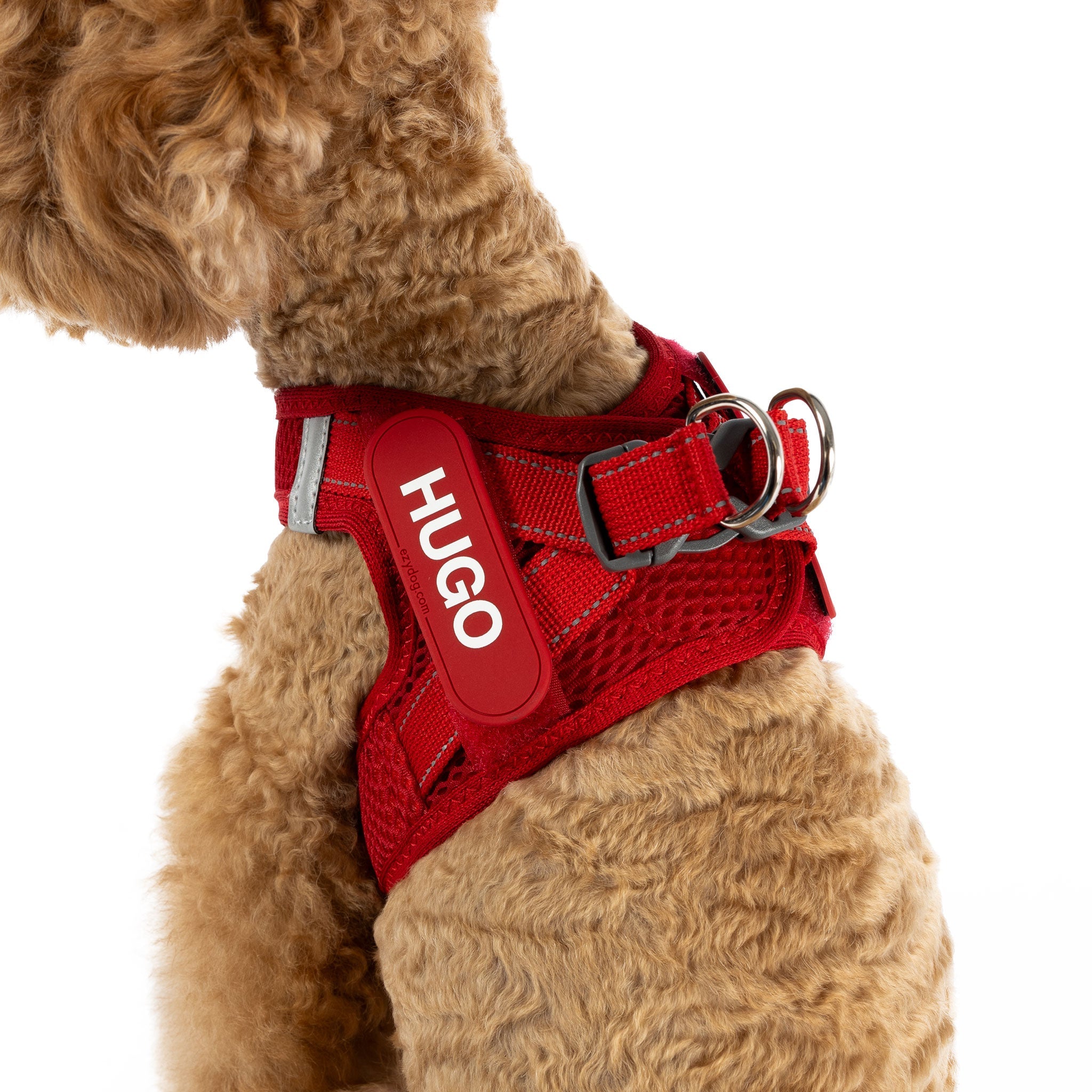 side closeup view of red FormFit harness on a small dog named HUGO