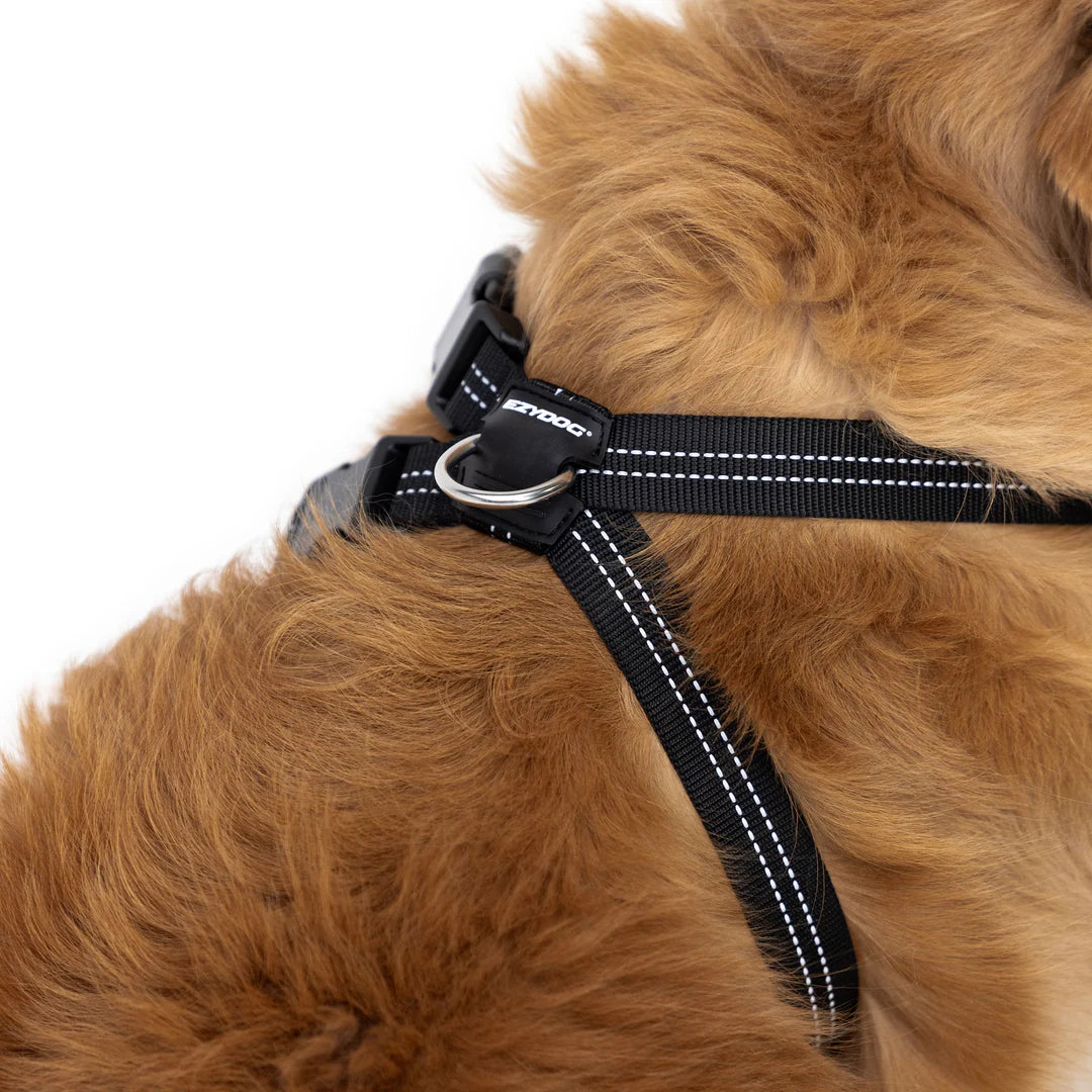 Essential Chest Plate Harness