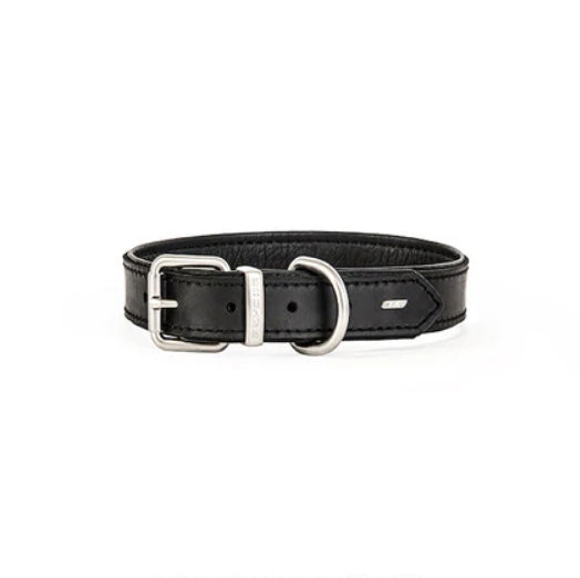 Oxford Leather - Classic Collar (On Sale)