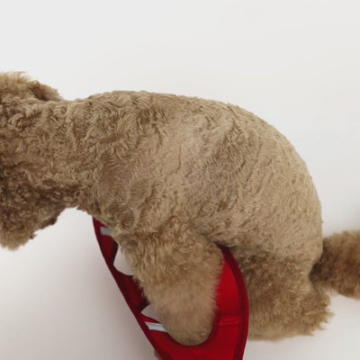 FORMFIT 2.0 FITTING VIDEO